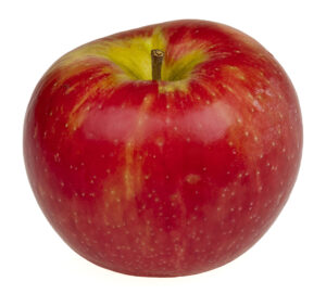 Honeycrisp: Unbelievable crisp texture, every time